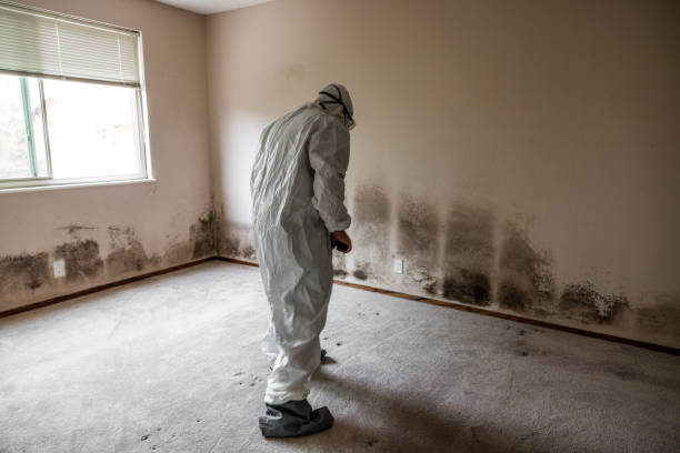 Water Damage Restoration in Mequon, WI